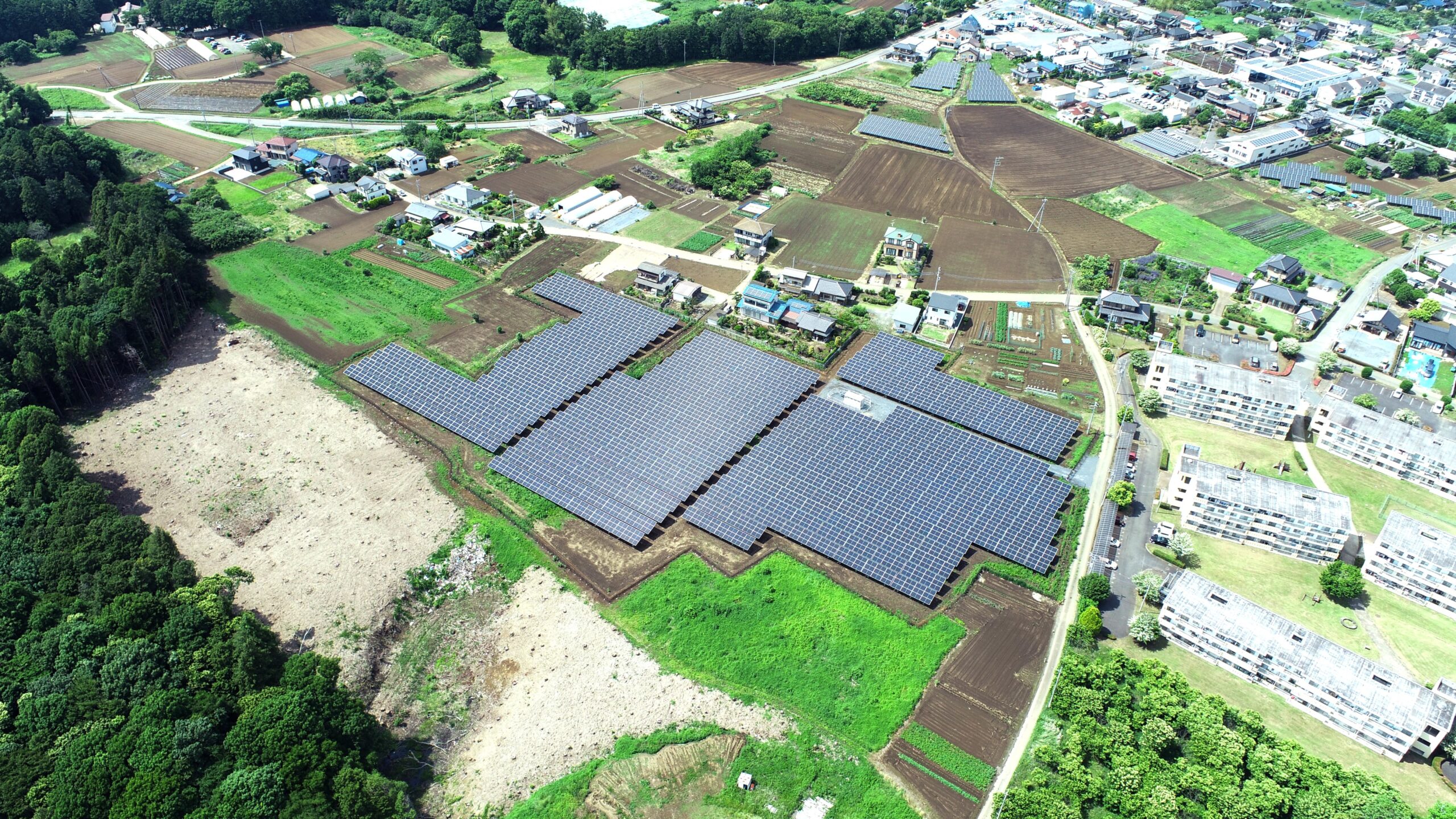 茨城・石岡市鹿の子